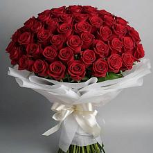 Букет 101 Красная роза Блэк Мэджик в Поселке дома отдыха Бекасово