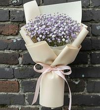 Букет цветов из:  Гипсофила в Поселке дома отдыха Бекасово