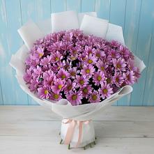 Букет цветов из:  Хризантемы #REPLACE_PRED# Поселке дома отдыха Бекасово