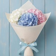 Букет цветов из:  Гортензия в Поселке дома отдыха Бекасово