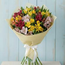 Букет цветов из:  Альстромерии в Поселке дома отдыха Бекасово