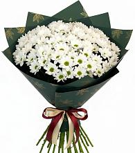 Букет цветов из:  Хризантемы в Поселке дома отдыха Бекасово