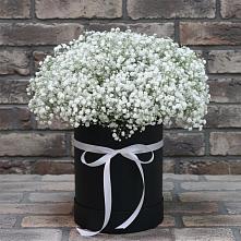 Цветочная композиция из Гипсофила в шляпной коробке в Поселке дома отдыха Бекасово