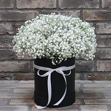 Цветочная композиция из Гипсофила в шляпной коробке в Поселке дома отдыха Бекасово