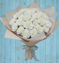 Букет цветов из:  Гвоздики в Поселке дома отдыха Бекасово